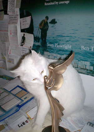 THE FESTIVAL BRAIN CENTRE "Lucky" 7 kilos